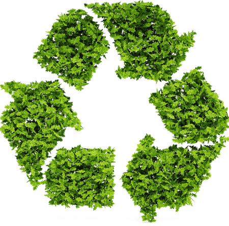 EcoFriendly